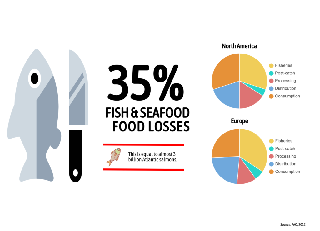 seafood processing full utilization